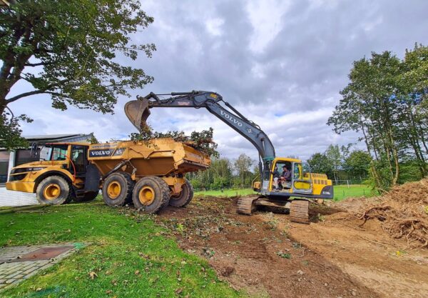 491833511_1238028021659822_655457366579654308