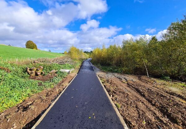 buellingen_anbindung_2